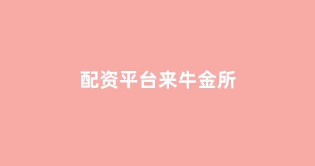 配资行业查询